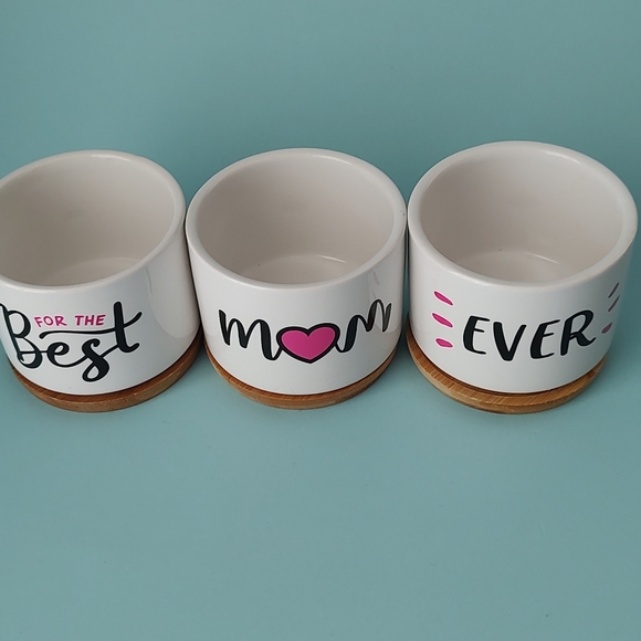 Ceramic Succulent Plant Pots Gift Mom 3.15 Inch Cactus Planter Flower new 3 pz - Picture 9 of 9